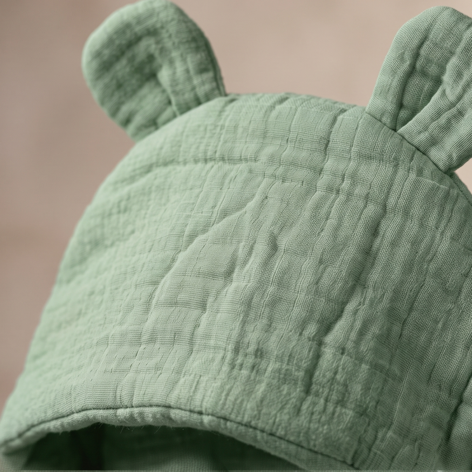 Aalingan Muslin | Sage Whisper